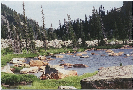 BOULDER FIELD